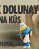Dilek Dolunay